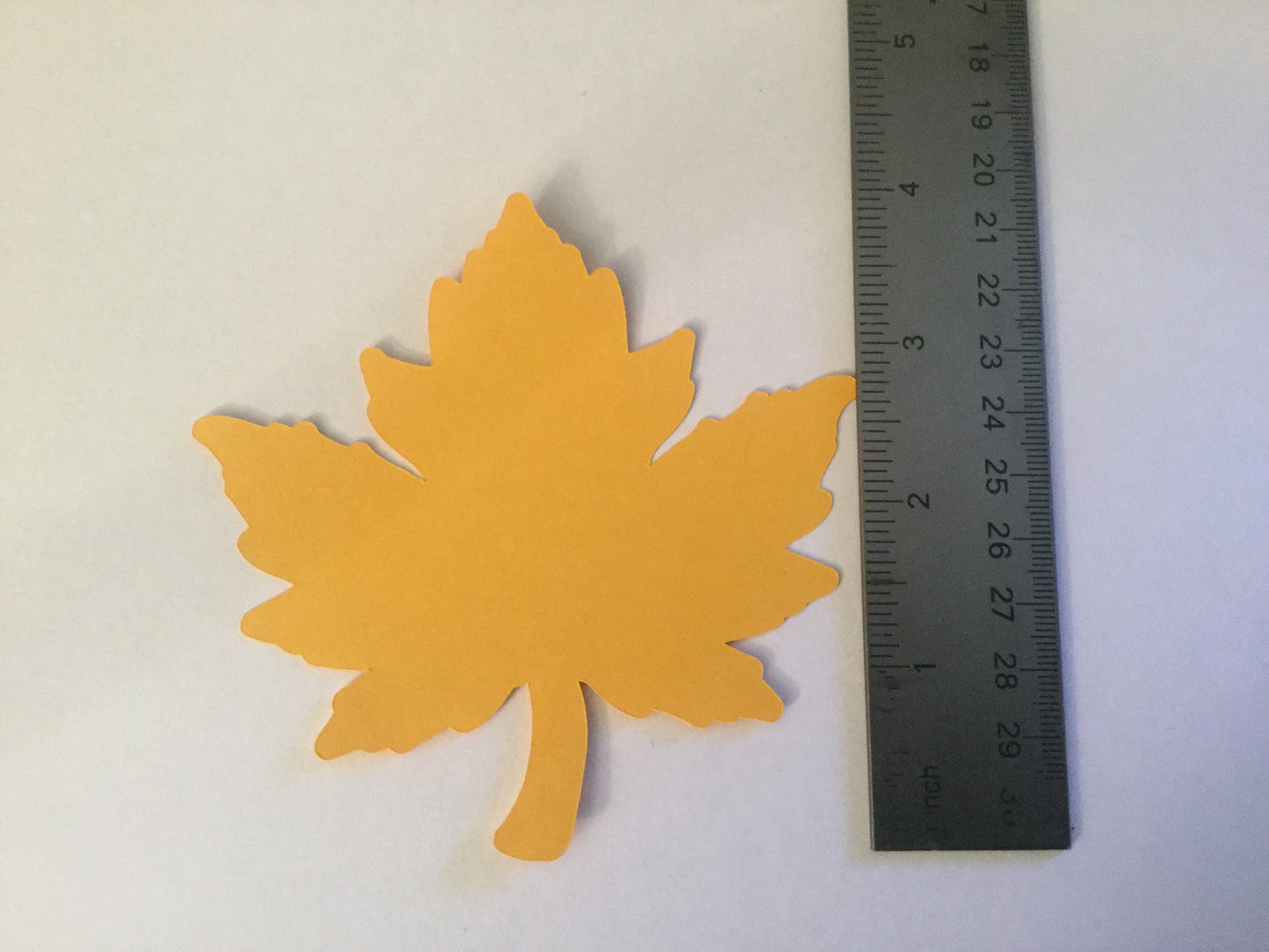 25 Large Fall Leaves Die cuts 4 inch Leaf Cutout Maple Leaf Thanksgiving Decor Thankful Tree Leaf Paper Piecing Autumn Leaves