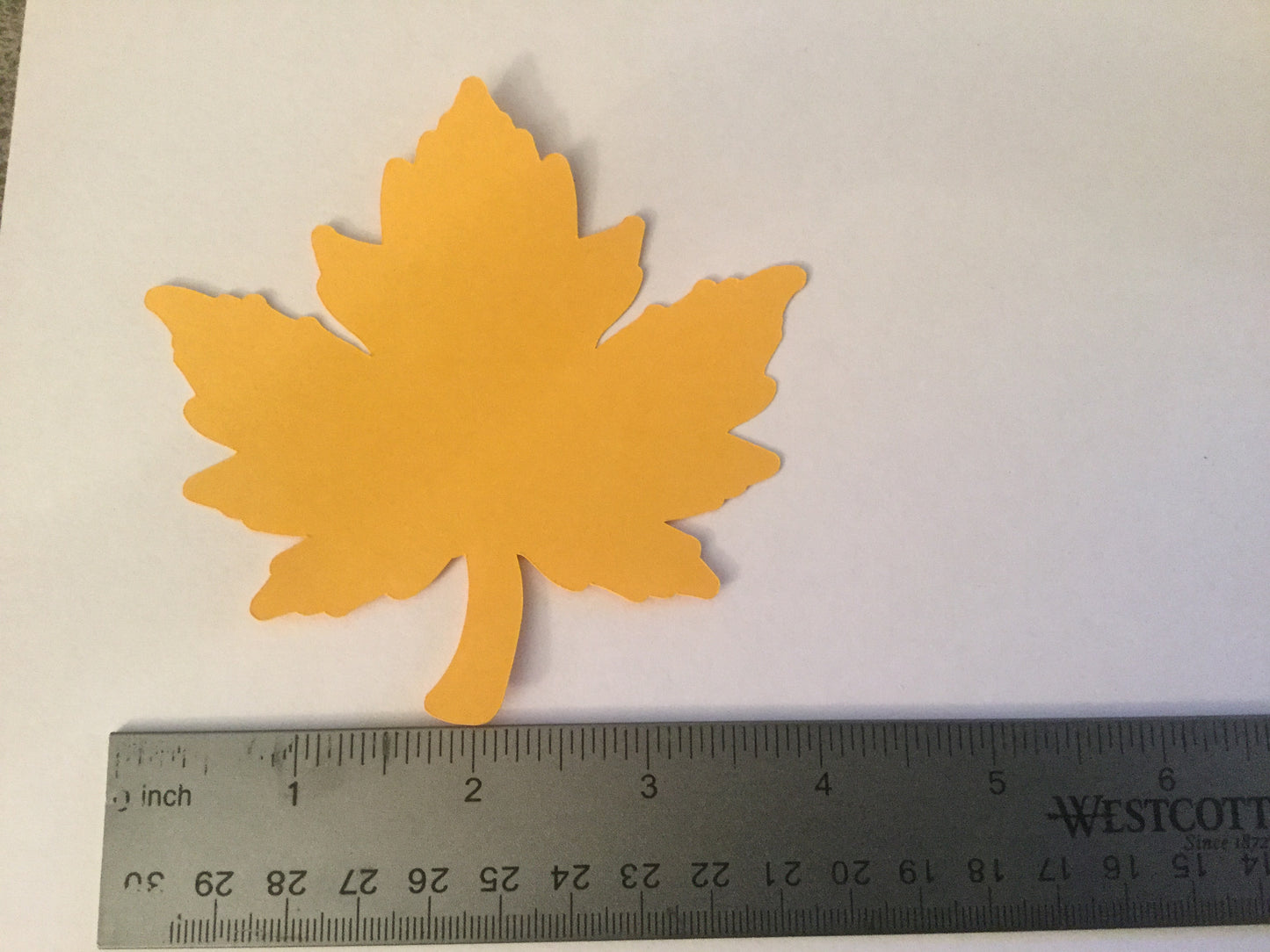 25 Large Fall Leaves Die cuts 4 inch Leaf Cutout Maple Leaf Thanksgiving Decor Thankful Tree Leaf Paper Piecing Autumn Leaves