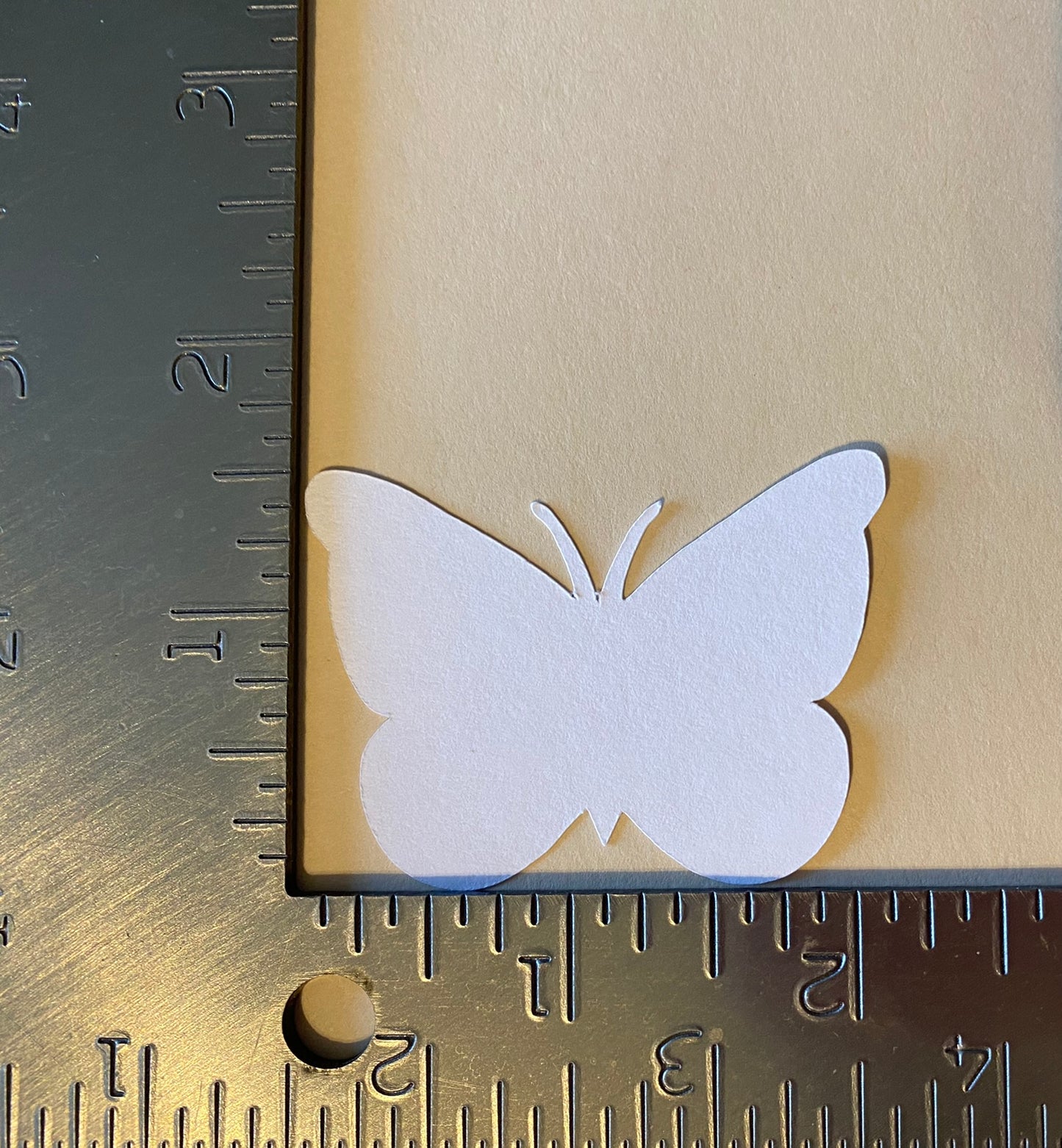 50 White 2 Inch Paper Butterfly Punch Die cuts Cutout Confetti Embellishments Scrapbooking